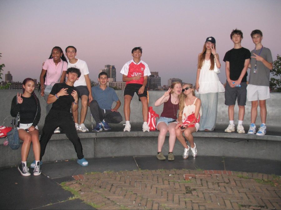 A large group of summer program friends posing on a rooftop overlooking the New York skyline