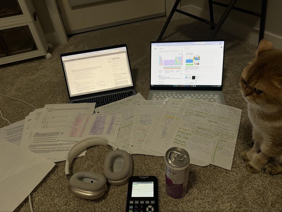 A study setup on the floor with two laptops, notes, headphones and a curious cat